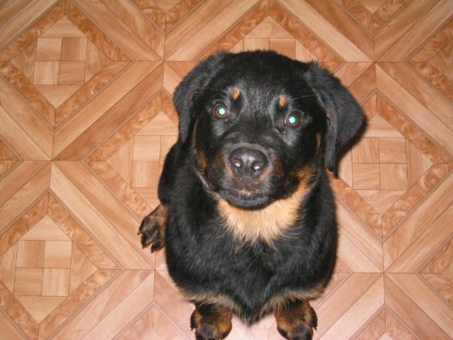 IMG_kuk na me.JPG