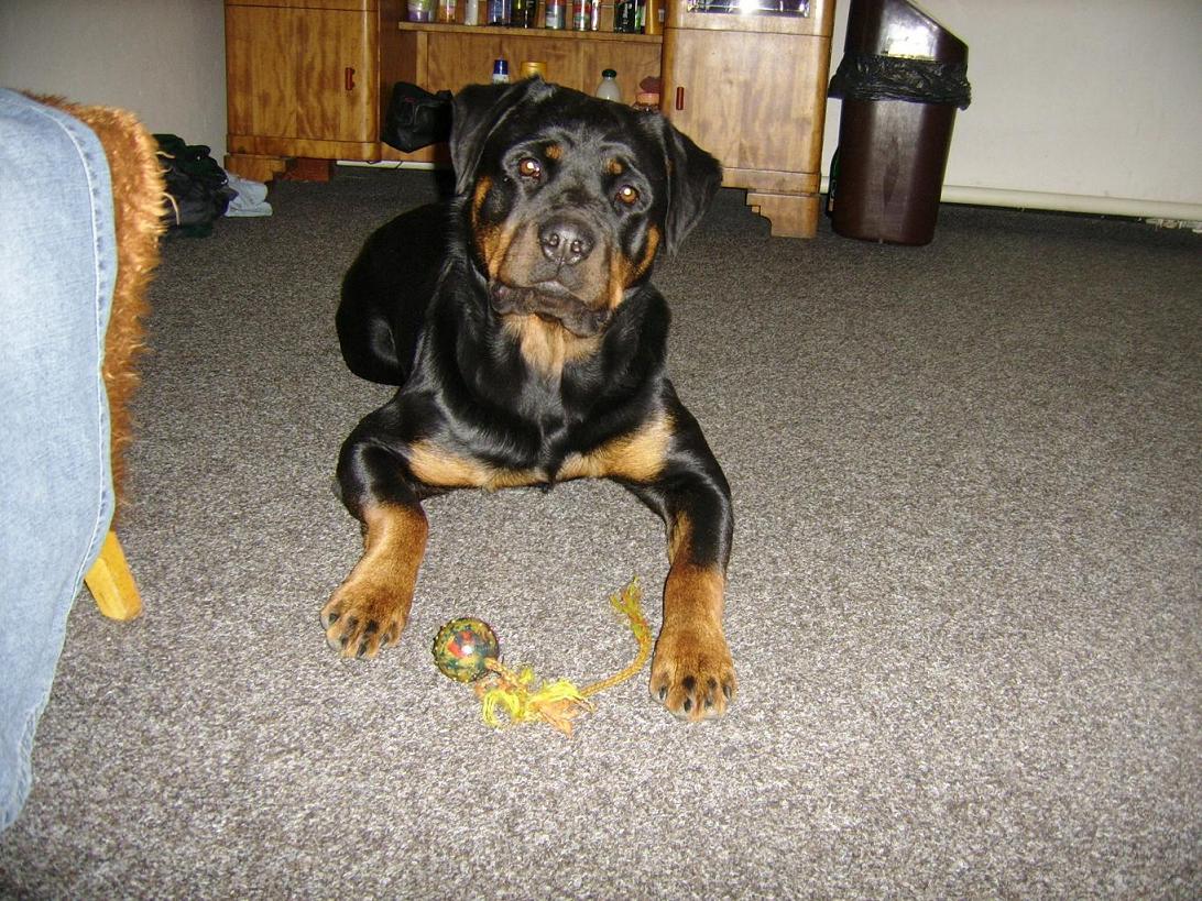 2008_Eimie.JPG