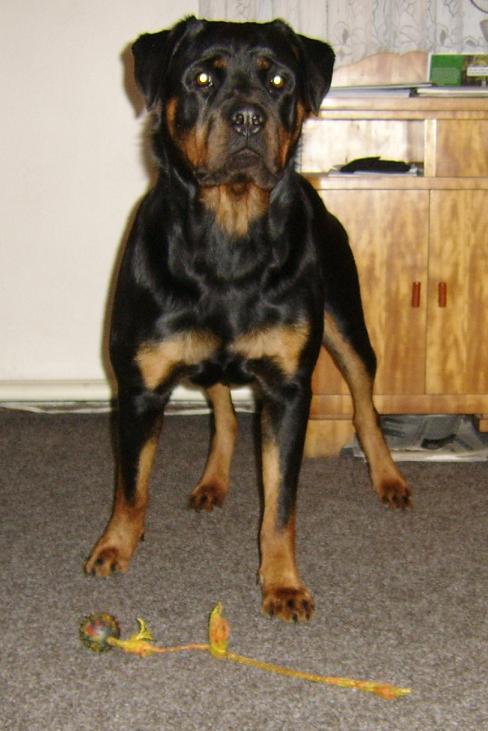 Eimie_doma_zima_2008.JPG