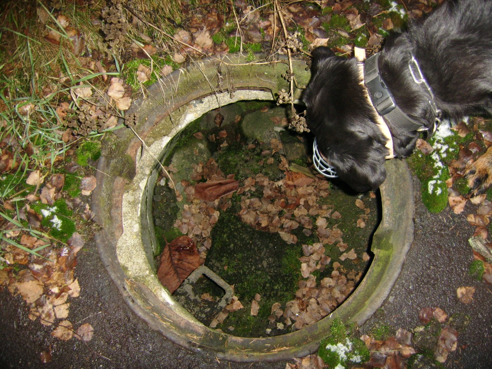 10.JPG