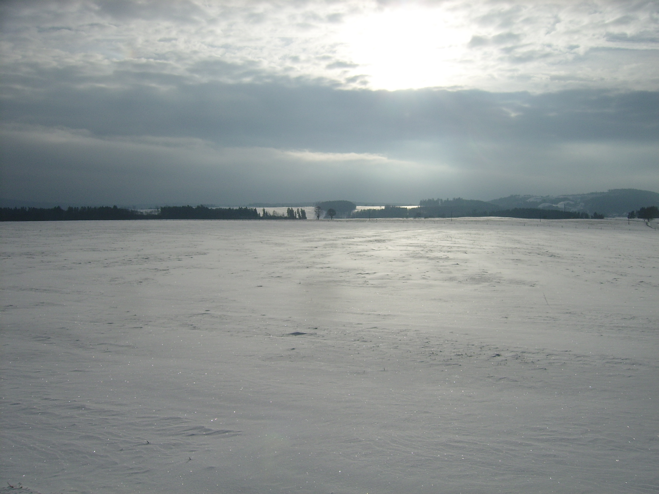 SSA59663.JPG