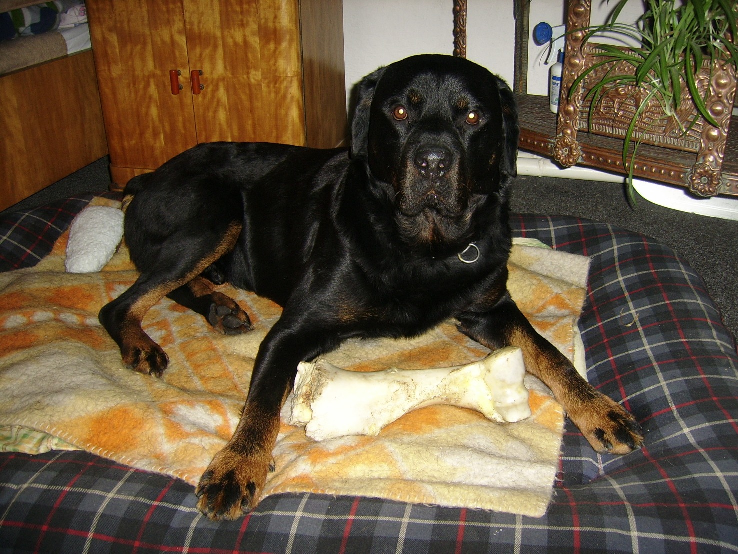 SSA59901.JPG