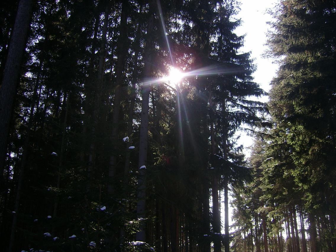 SSA50154.JPG