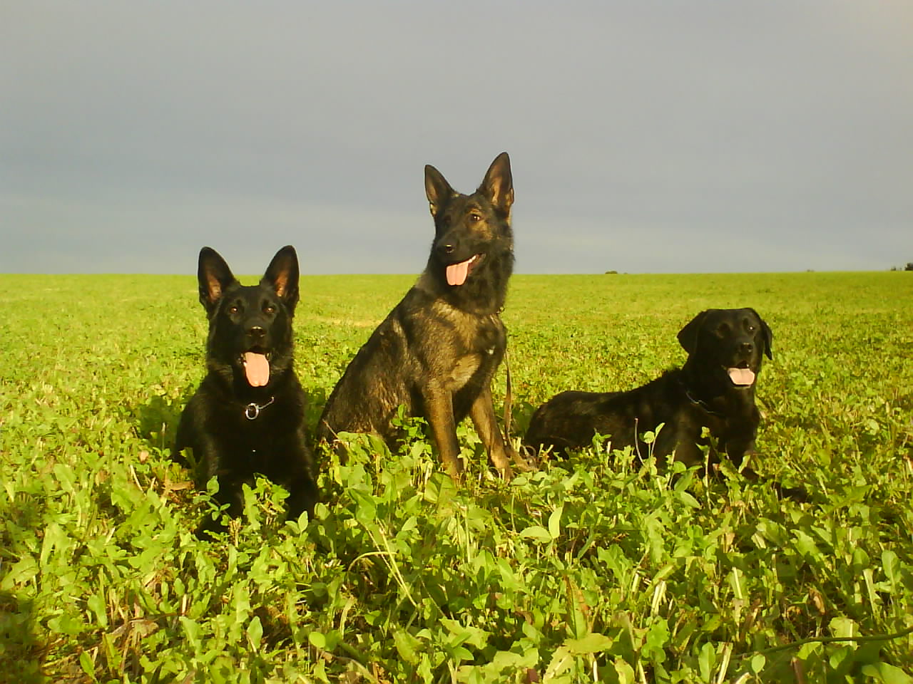DSC03094.JPG