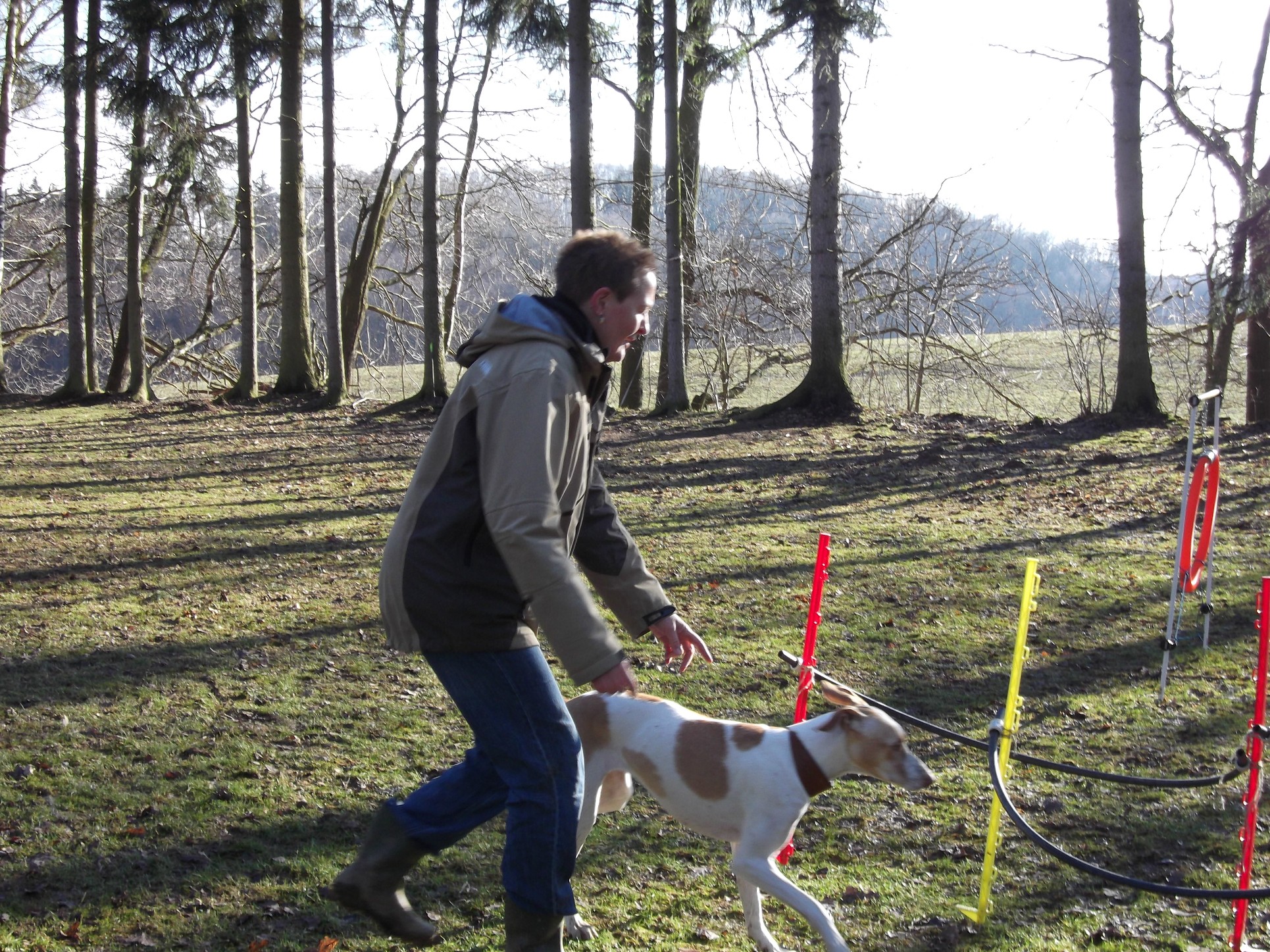 Agility na cvičáku
