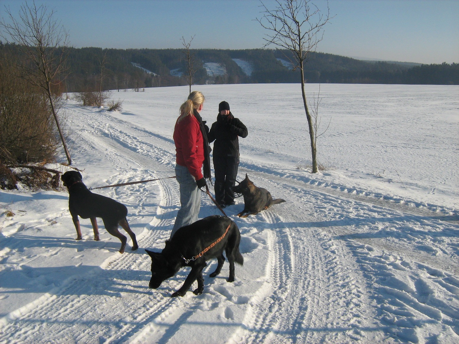 Narozeniny 2011 406