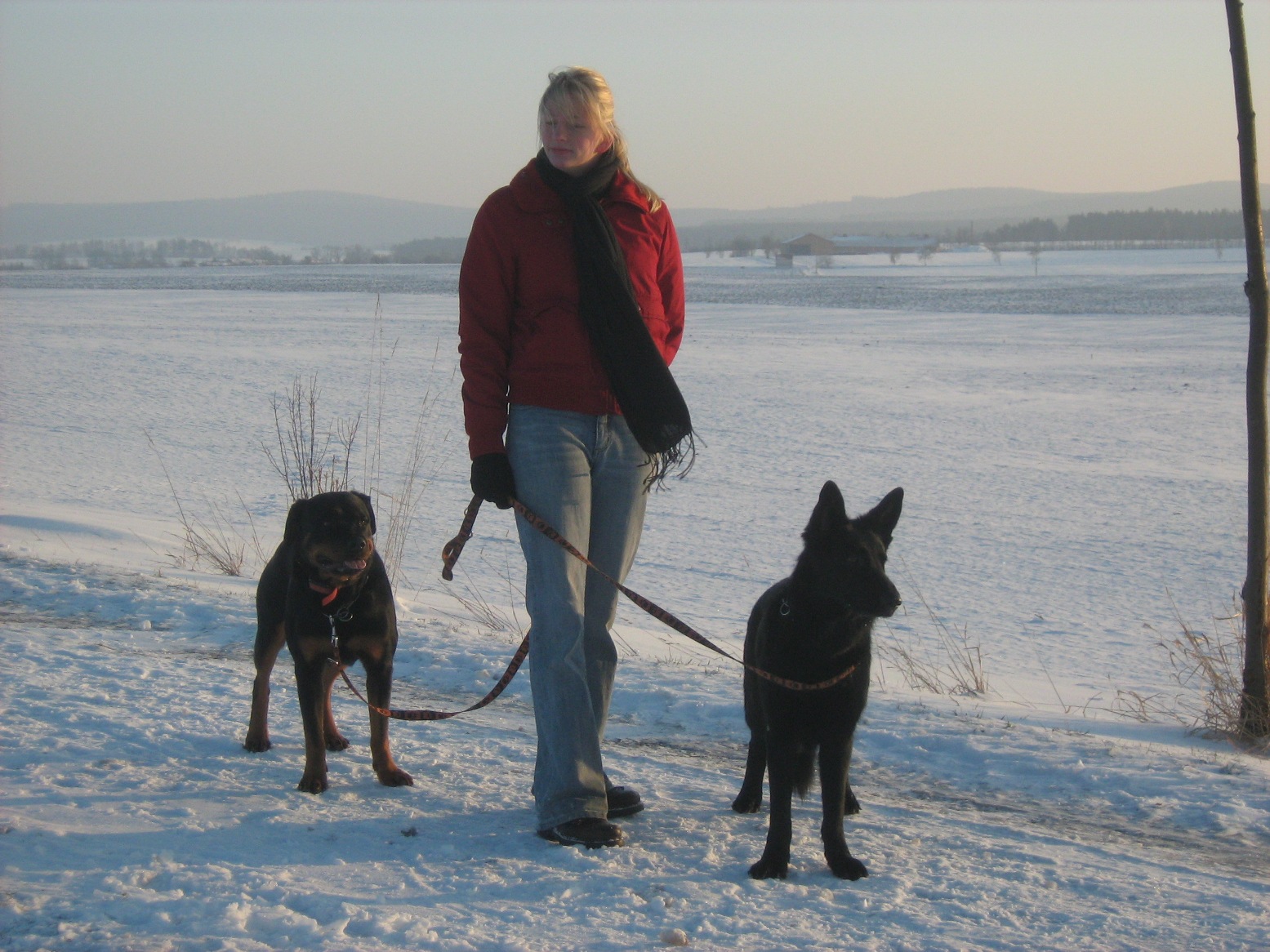 Narozeniny 2011 430