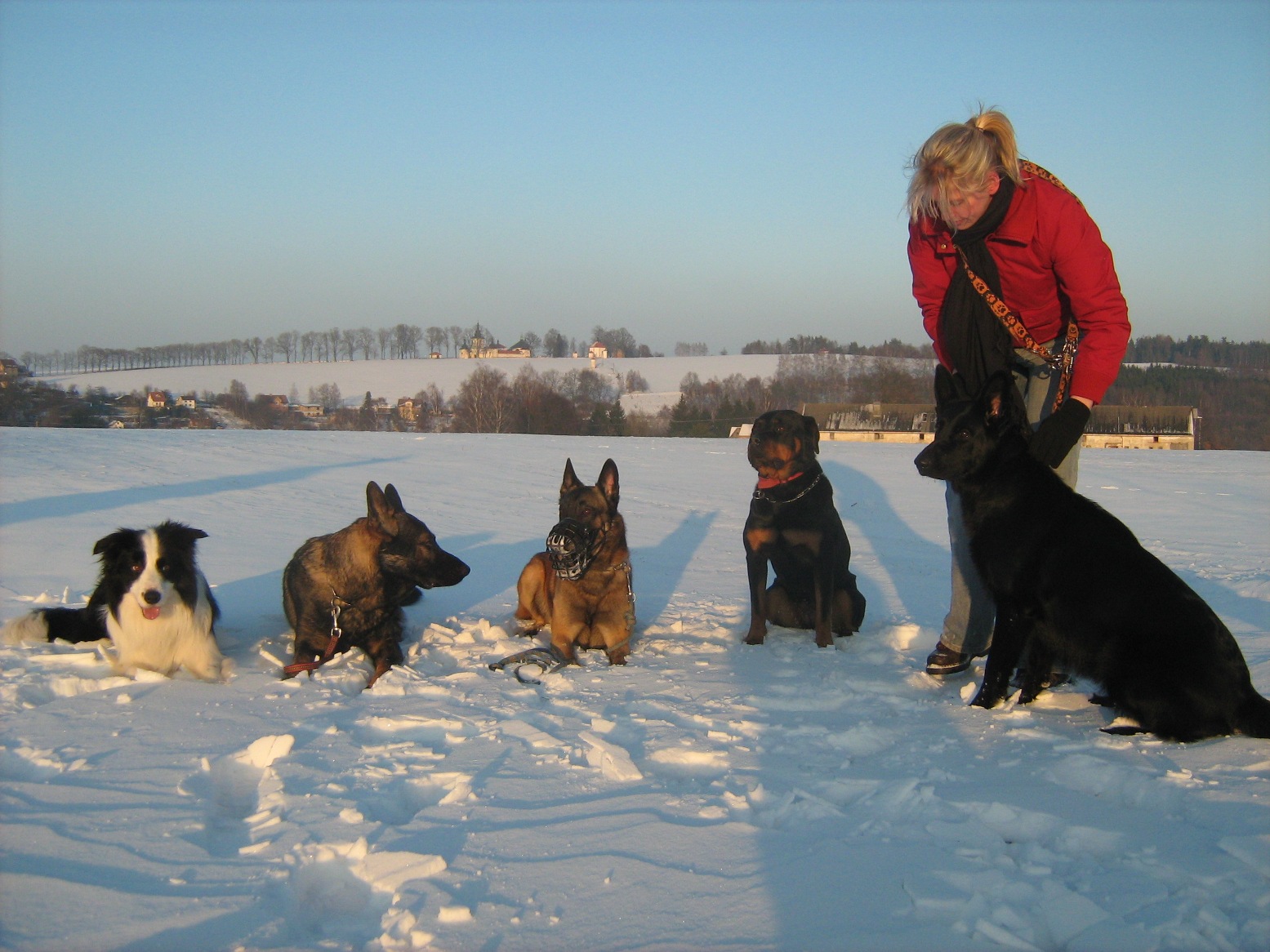 Narozeniny 2011 431