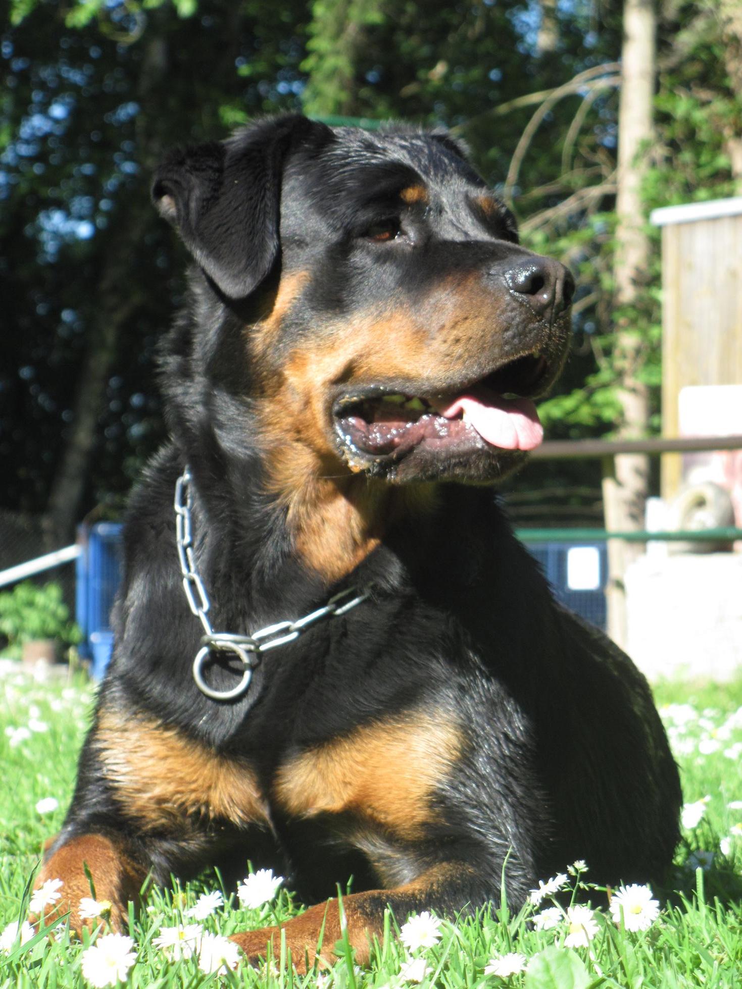 Kveten 2011 041