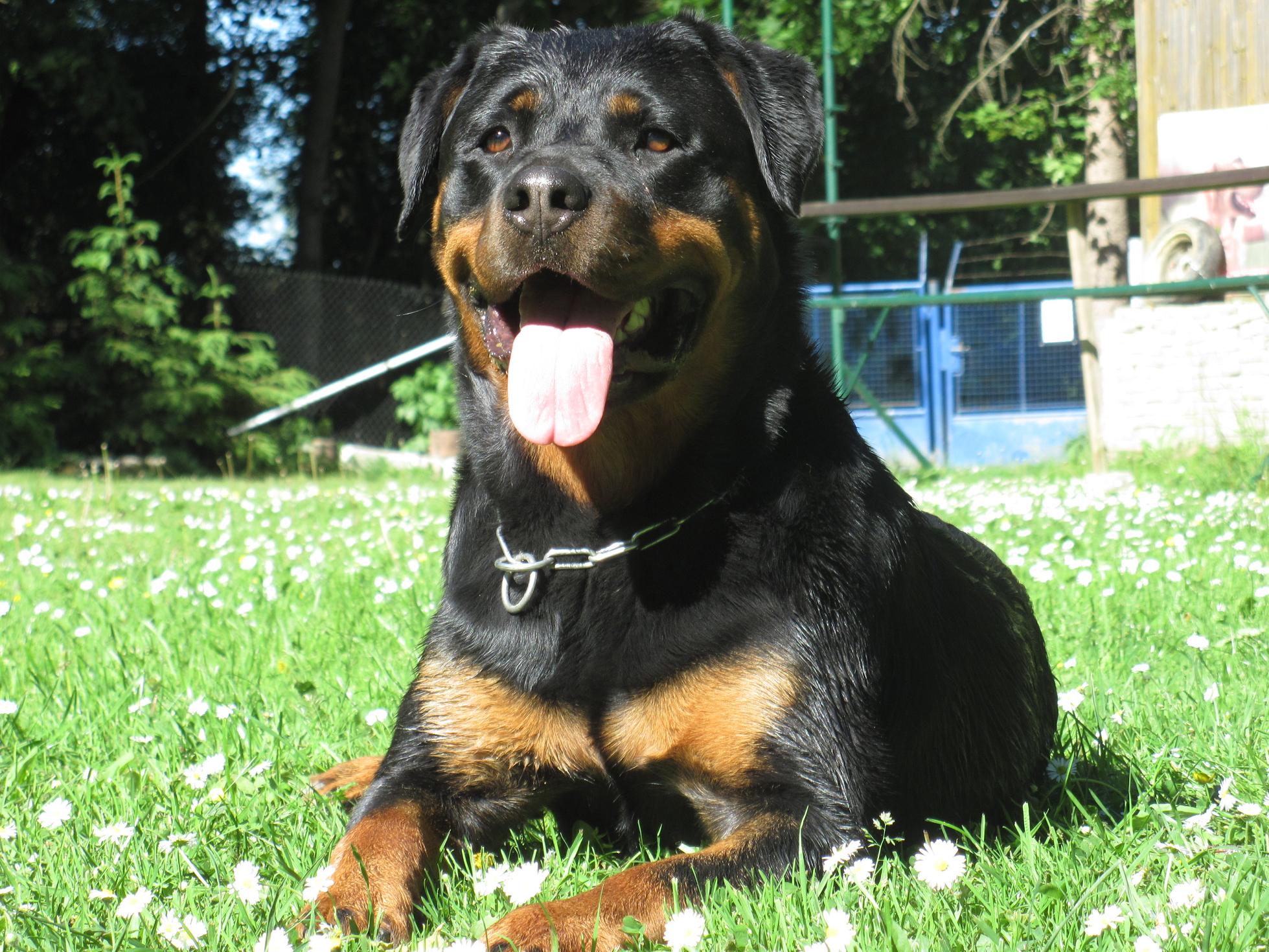 Kveten 2011 049