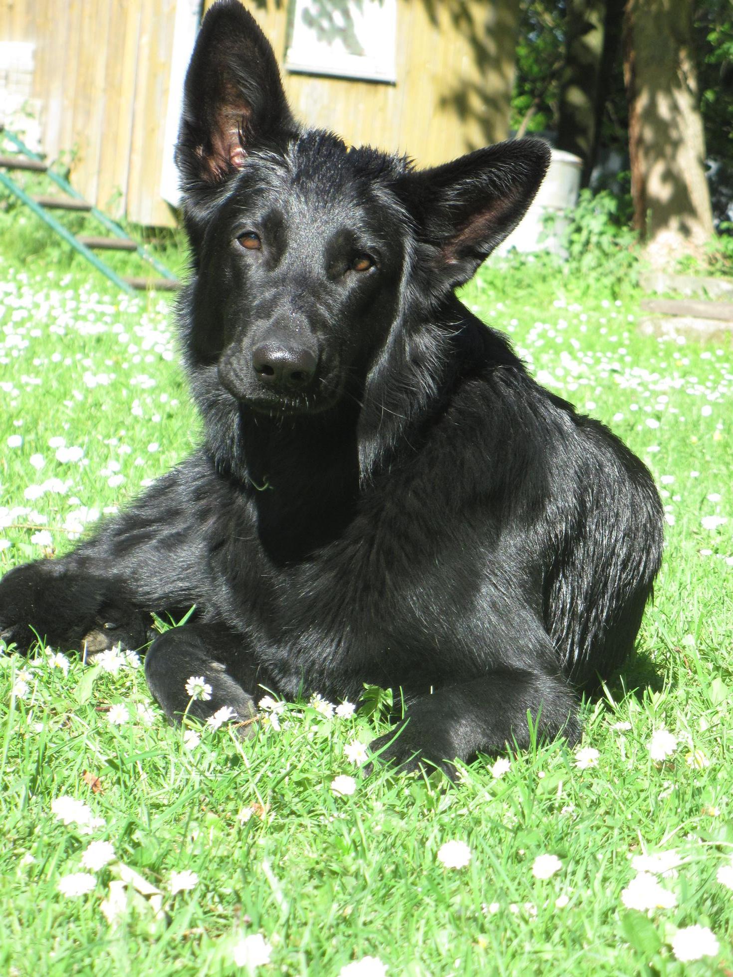 Kveten 2011 053