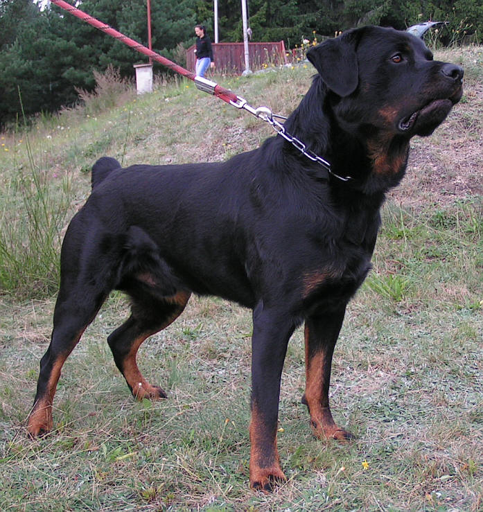 LVT 2007 Landstejn